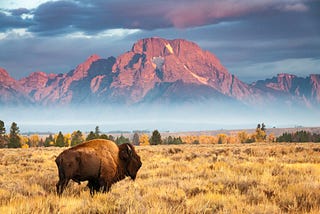 40 Outstanding Writing Conferences and Workshops in October 2025