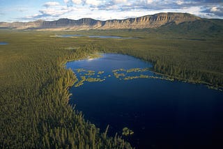 How NGOs Prepare for Crisis — and Opportunity