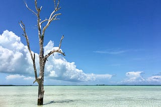 How I became an accidental exorcist in The Bahamas