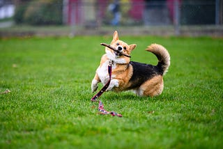 API Fetching the React Way — React Query