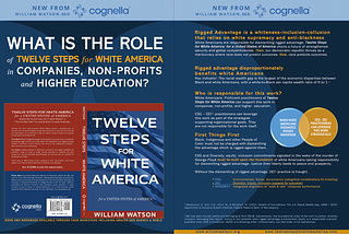 Flyer Asks What is the Role of 12SWA in Companies, Non-Profits and Higher Ed. Includes book cover and Definitions for Rigged Advantage, JDIB. Cites Derencourt for Racial Wealth Disparities. Says BJEDI order is not operational
