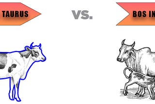 “Bos Indicus vs. Bos Taurus: A Journey through Indian History, Culture, and Belief”