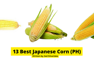 13 Best Japanese Corn Philippines 2022 (w/ Free Discount)