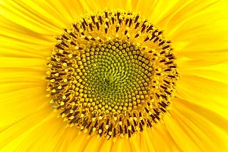 Python: The Gateway to Artificial Intelligence