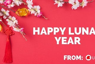 Usafis — How many Asians In the US are celebrating the Lunar New year