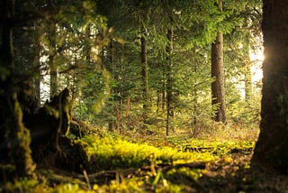 An agnostic’s prayer for self-healing