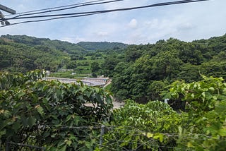 Japan’s Countryside: A Train Ride from Osaka to Nara
