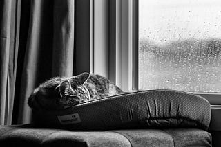 My 75 Hard Journey: Day 9 — Rain or Shine, Sleep or Grind!