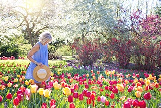 Great leaders are like gardeners