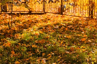 Winterizing Your Lawn