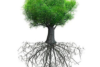 Ground to Grow…get Embodied to create your best life!
