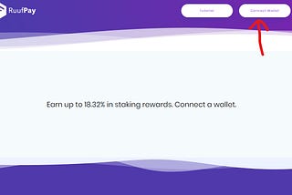 RuufCoin $RUUF Web Staking Instructions🥩