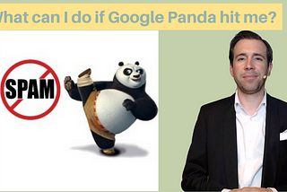 What can I do if Google Panda hit me?