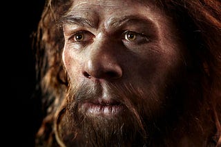 Neanderthals vs. Homo Erectus: