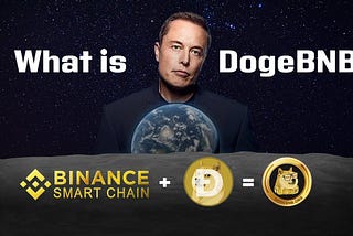 DogeBNB tokenomics and fundraising update