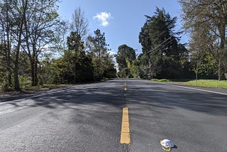 The roadkill is gone from Danville Boulevard: the unintended good consequences of the coronavirus.