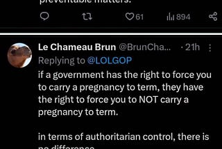 If a court can tell you what you can and can’t do with your body, basically you have the same rights as a carseat (a Twitter screecap) referring to the Supreme Court decision concerning Kate Cox.