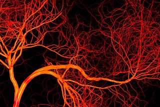 2020- DRESS YOUR VEINS IN HARD BLOOD