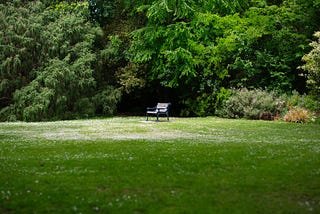 The Walk in the Park That Wasn’t