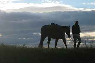 3 concepts for social dancers, from a horse rider