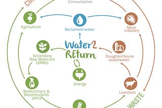 Algae as bioresource in circular bioeconomy