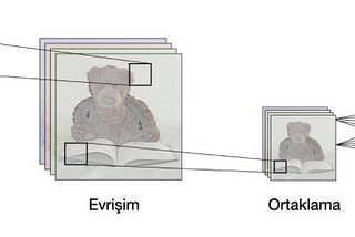 CNN Evrişimsel Sinir Ağları