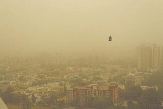 Why is Delhi choking?