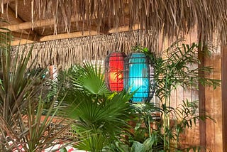 Hawaiian Dreams and Tropical Sunbeams — Honolulu through my lens