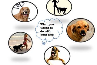 Housebreaking Your Dog In Four Simple Steps
