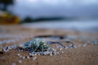 Microplastics and How they Threaten the Achievement of the Global Goals