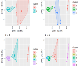 Analisis Cluster Non-Hierarki Dengan Metode Scaling Data Dalam R