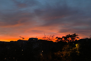 Negroni Skies