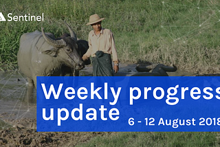 📝 Weekly Progress Update — 6 to 12 Aug