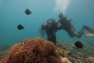 Which is the best place to scuba dive in Andaman?