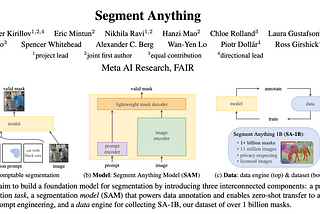 Vision Foundational Models