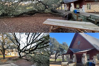 Live Oaks and the Lord’s Prayer