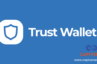How to add a custom token to Trust Wallet