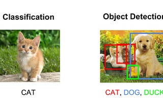 ML5 Image classification using MobileNet and p5.js