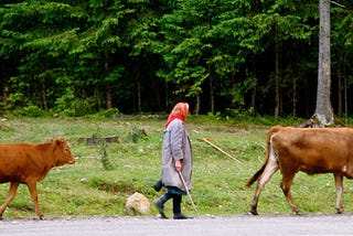 The Last Walk to School Before I Was Taken to the Orphanage