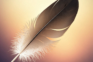 a feather with a light background