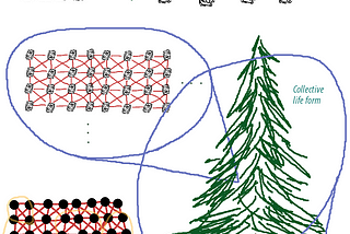 The mathematics of consciousness: answering existential questions using graph theory