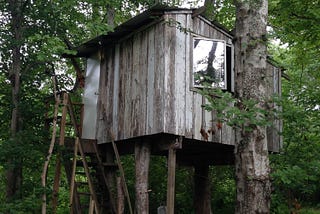 Living in a Treehouse (Part 1)