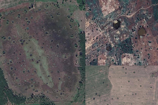 The Vietnam war, a war against nature