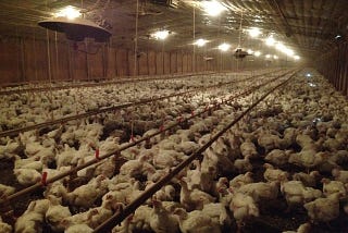 Animal Agriculture: Its Time Has Come — and Gone