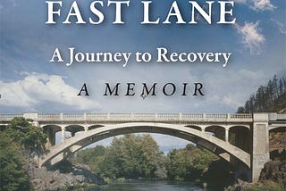 Color picture of “My Stroke in the Fast Lane” book cover shows distant shot of a suspension bridge