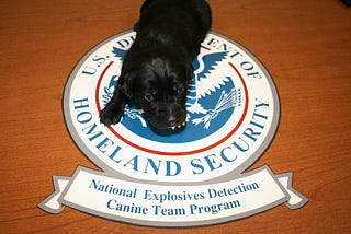 Threats Averted in the Past 12 Months by Our Personal TSA (Terrier Security Administration)