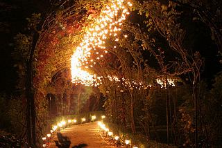 Lighted Path, Brodsworth, England