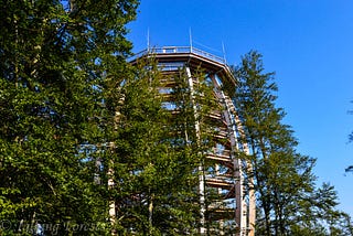 Treetop Walkway in Salzkammergut, Austria