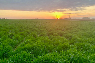 Judging a field by its cover