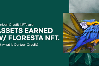 FlorestaNFT works with Carbon Credits: what are they?